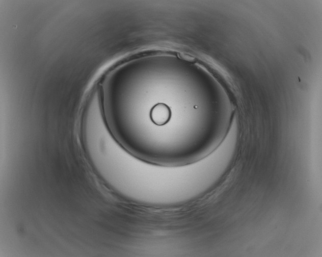 X0000114421272200910161220