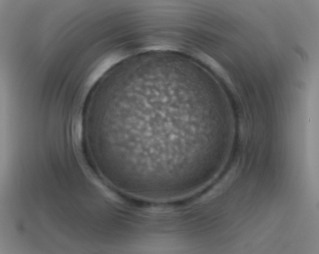 X0000114421274200910161220