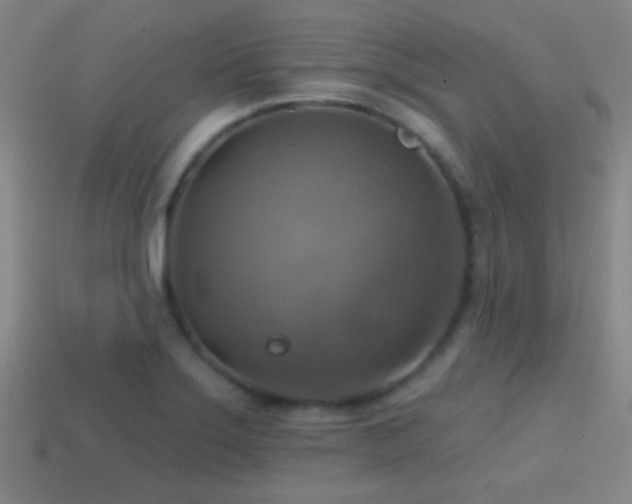 X0000114421275200910161220
