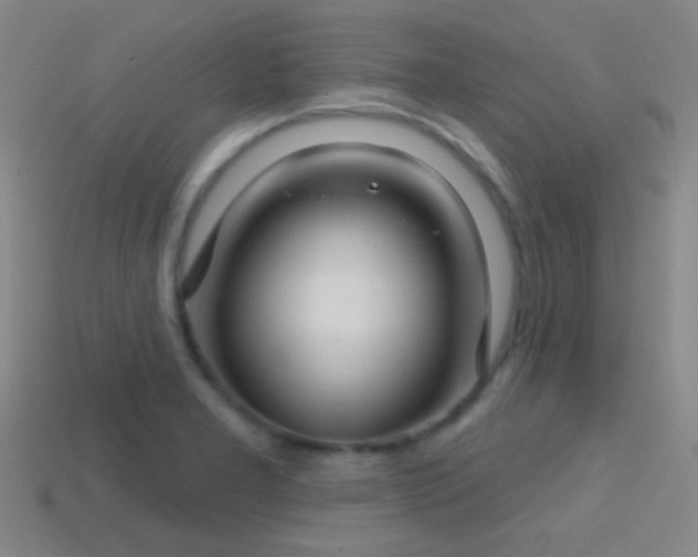 X0000114421277200910161220