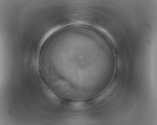 X0000114421278200910161220