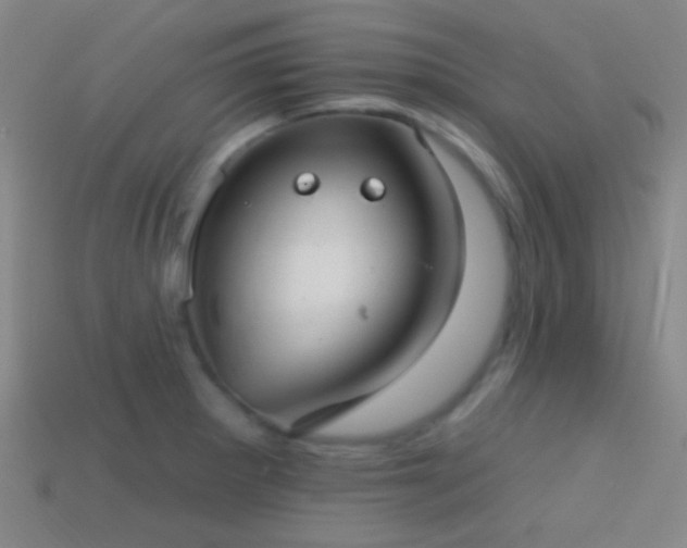 X0000114421281200910161220