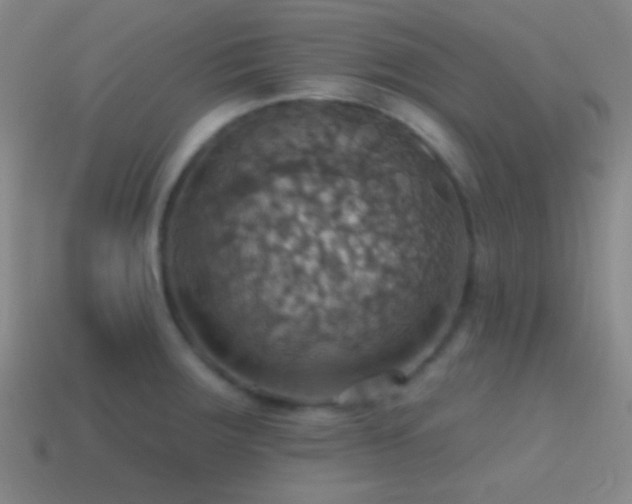 X0000114421283200910161220