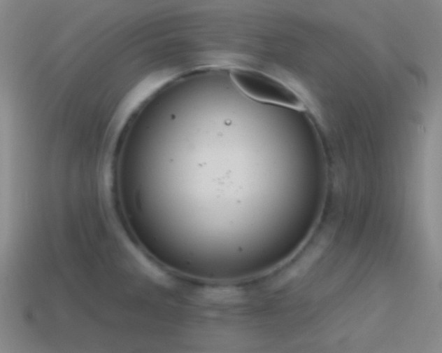 X0000114421285200910161220