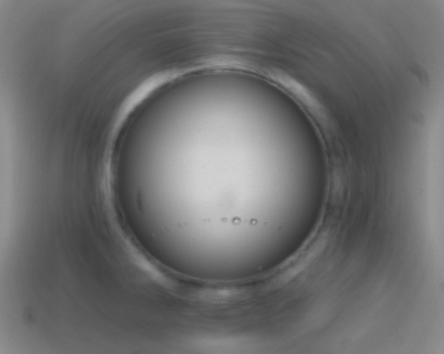 X0000114421286200910161220