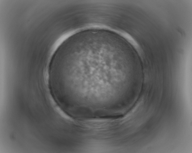 X0000114421287200910161220
