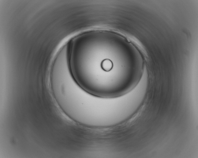 X0000114421288200910161220