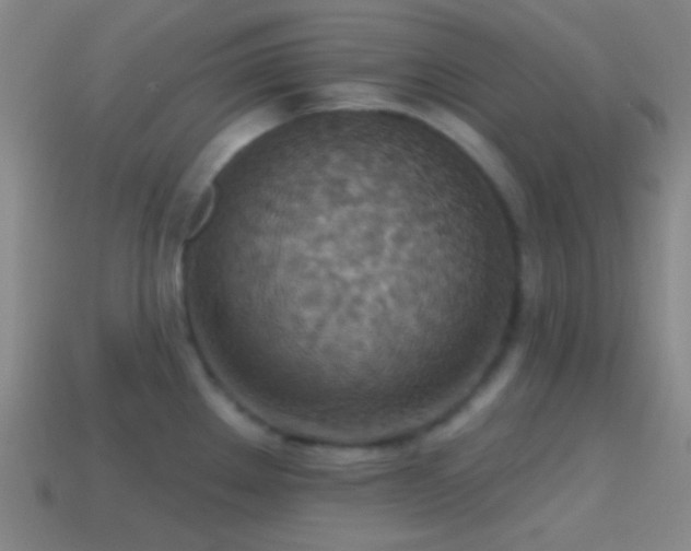 X0000114421289200910161220