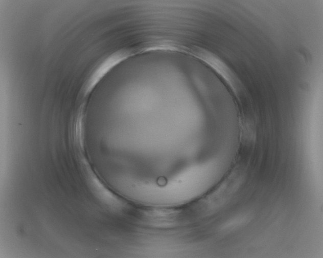 X0000114421290200910161220