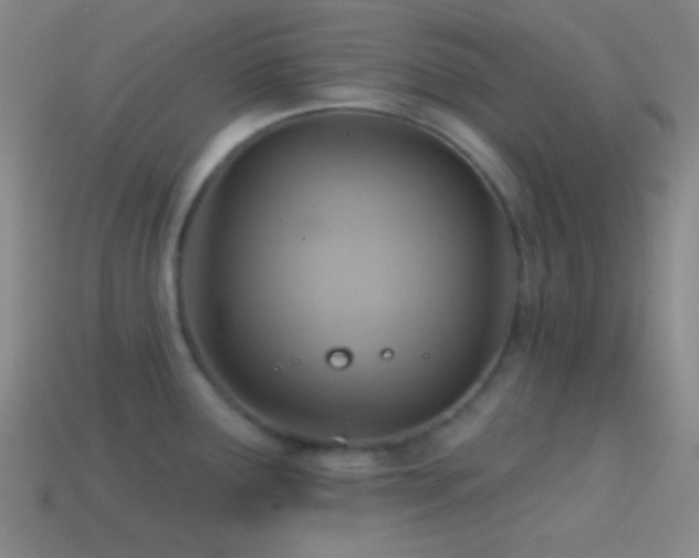 X0000114421291200910161220