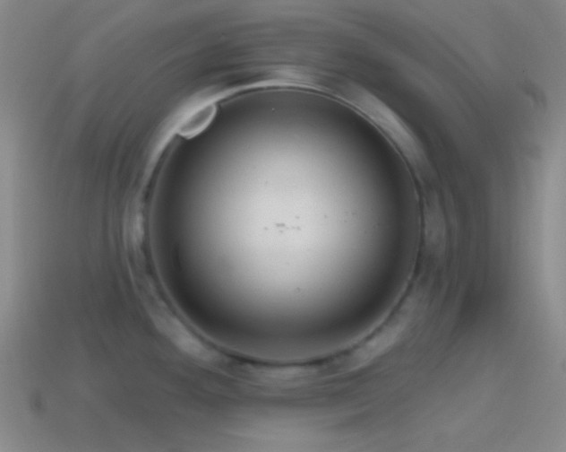 X0000114421292200910161220