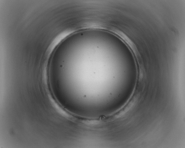 X0000114421293200910161220