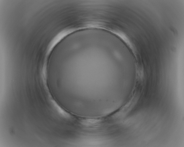 X0000114421294200910161220