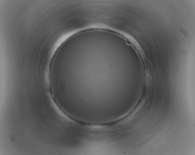 X0000114421295200910161220