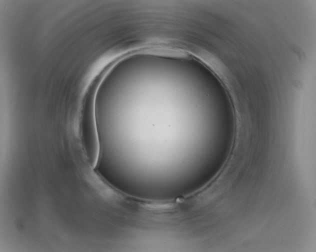 X0000114421296200910161220