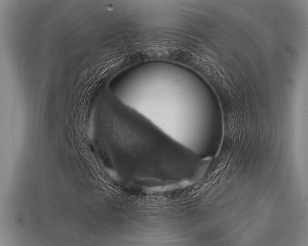 X0000114421297200910161219