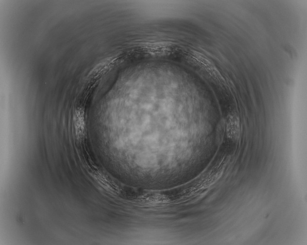 X0000114421298200910161219