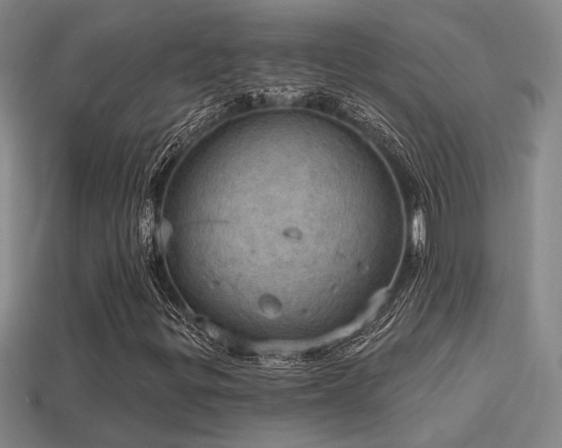 X0000114421299200910161219