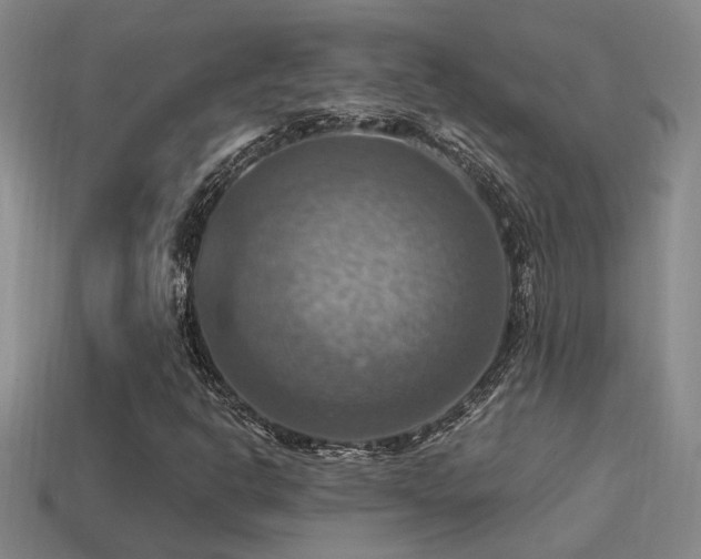 X0000114421302200910161219