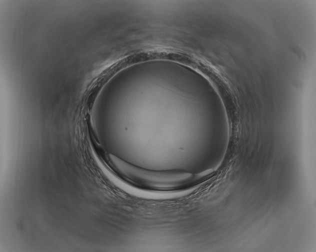 X0000114421303200910161219