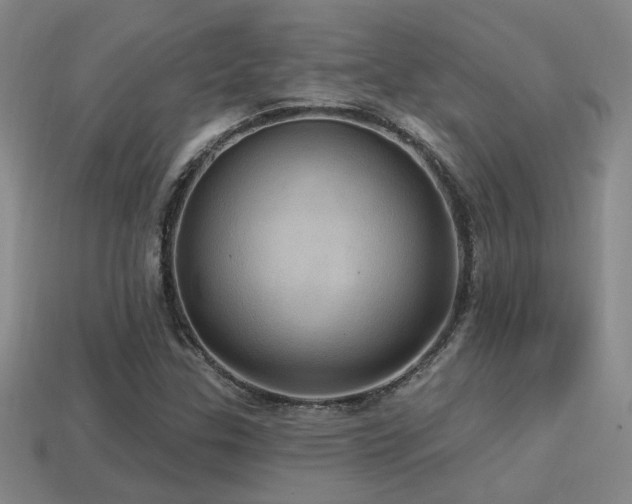X0000114421307200910161219