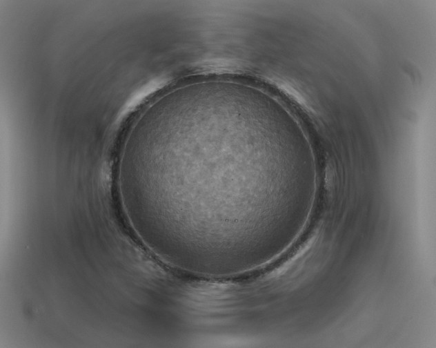 X0000114421309200910161220