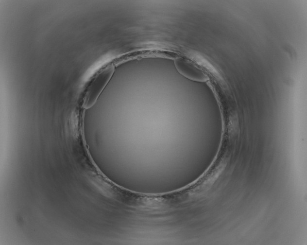 X0000114421310200910161220