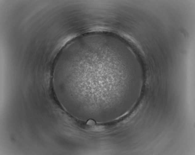 X0000114421313200910161220