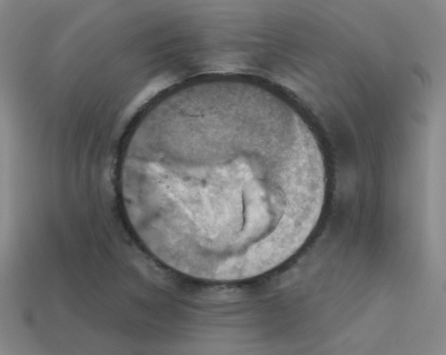 X0000114421314200910161220