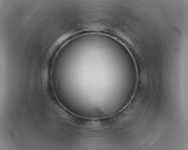 X0000114421315200910161220