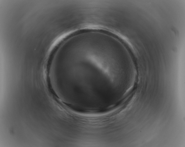 X0000114421319200910161220
