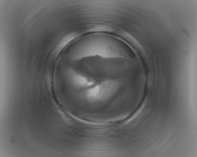 X0000114421321200910161220