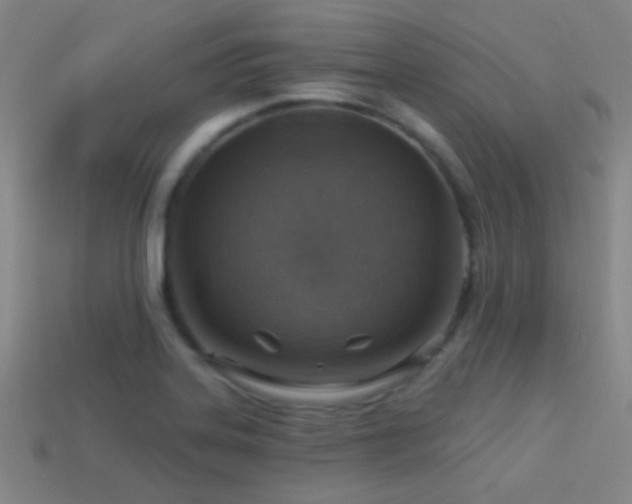 X0000114421323200910161220