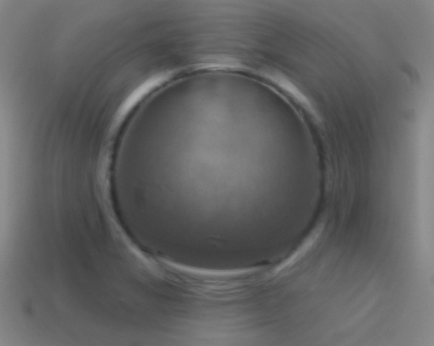 X0000114421325200910161220