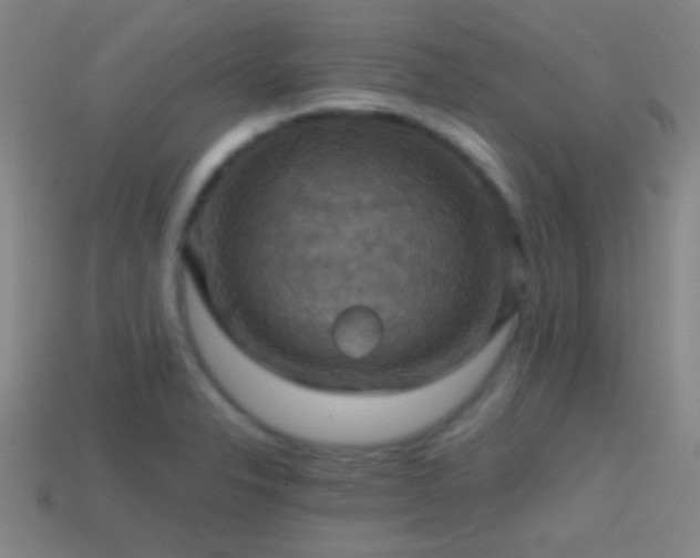 X0000114421326200910161220