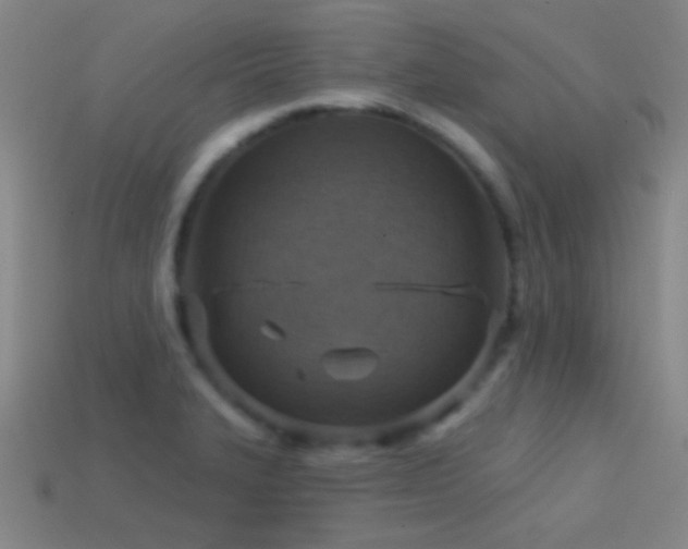 X0000114421327200910161220