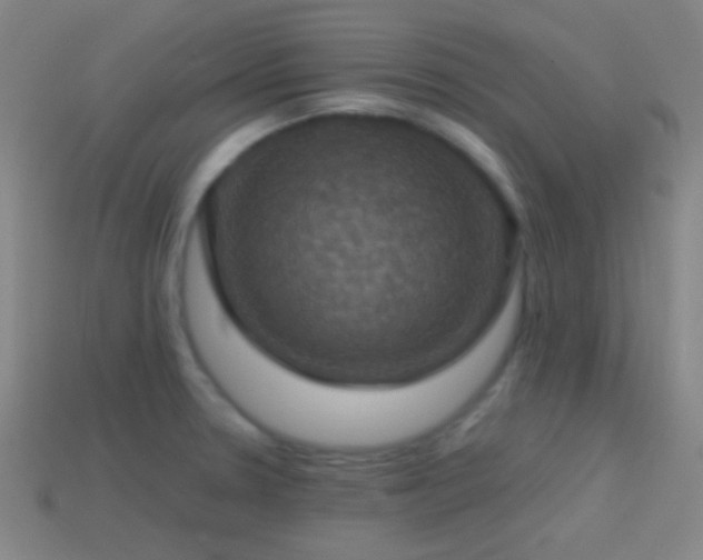 X0000114421330200910161220