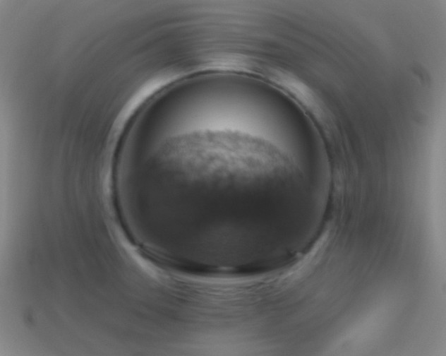 X0000114421331200910161220