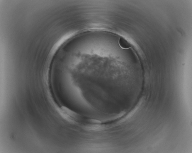 X0000114421333200910161220