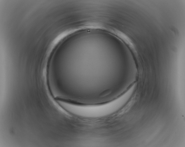 X0000114421334200910161220