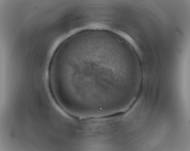 X0000114421335200910161220