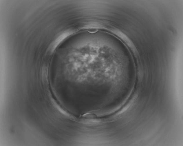 X0000114421337200910161220