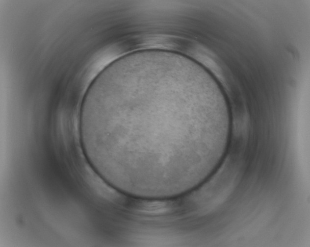 X0000114421338200910161220