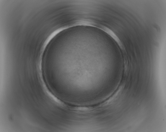 X0000114421339200910161220