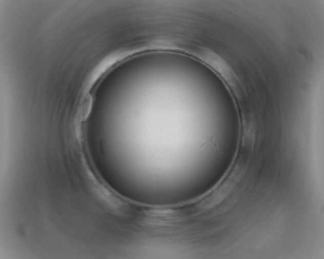 X0000114421342200910161220