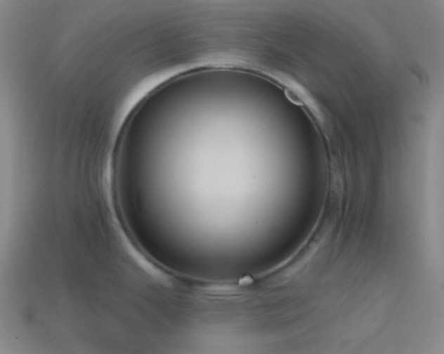 X0000114421343200910161220