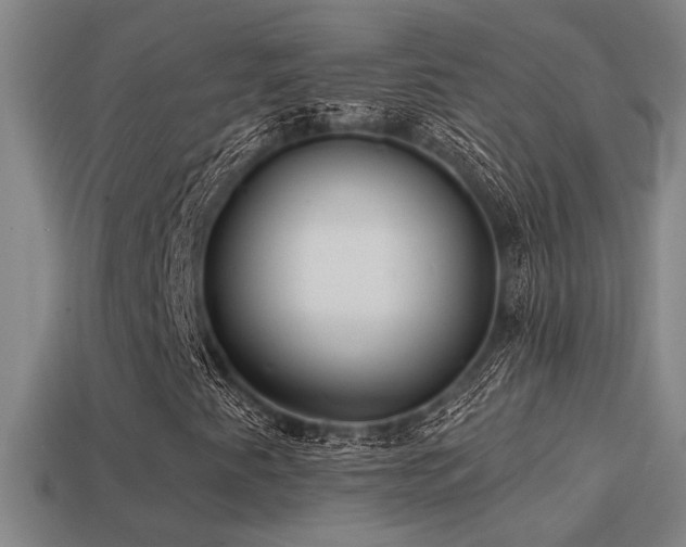 X0000114421345200910161219