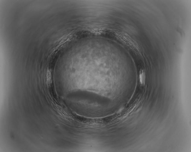 X0000114421347200910161219
