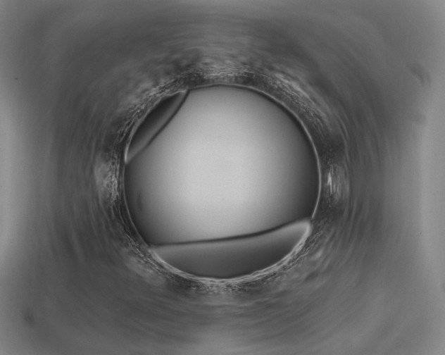X0000114421348200910161219
