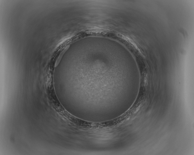 X0000114421350200910161219